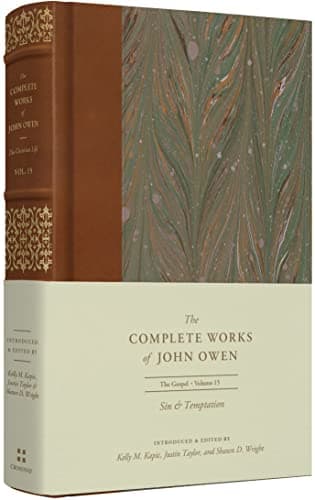 Cover of Sin and Temptation:The Challenge to Personal Goodness (Regent College Reprint)