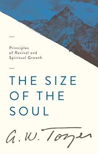 Cover of The Size of the Soul