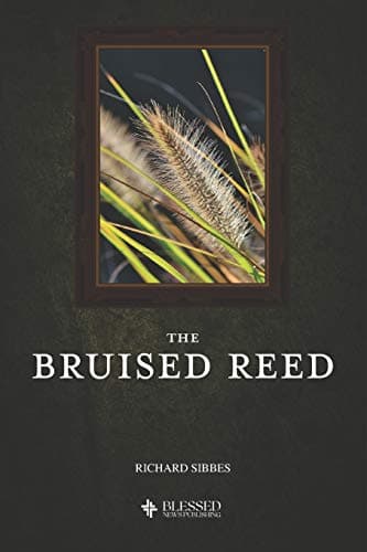 Cover of The Bruised Reed