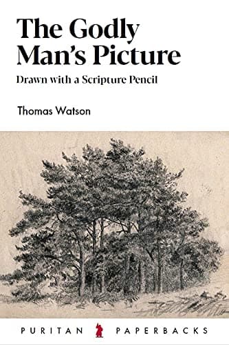Cover of The Godly Man's Picture