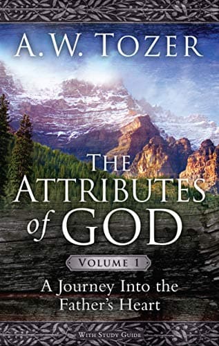 Cover of The Attributes of God Volume 1: A Journey into the Father's Heart